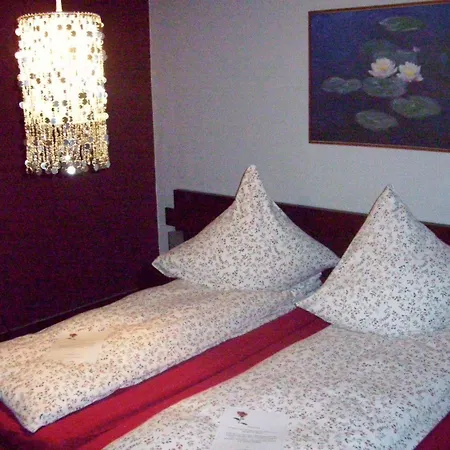 Fritzis Art Hotel 3*